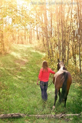 Photo showing a woman and horse on a beautiful forest path as part of equine rehab
